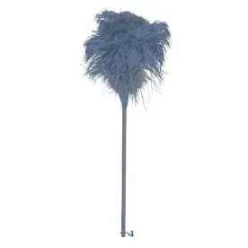 REDECKER PLUMEAU EN  468880